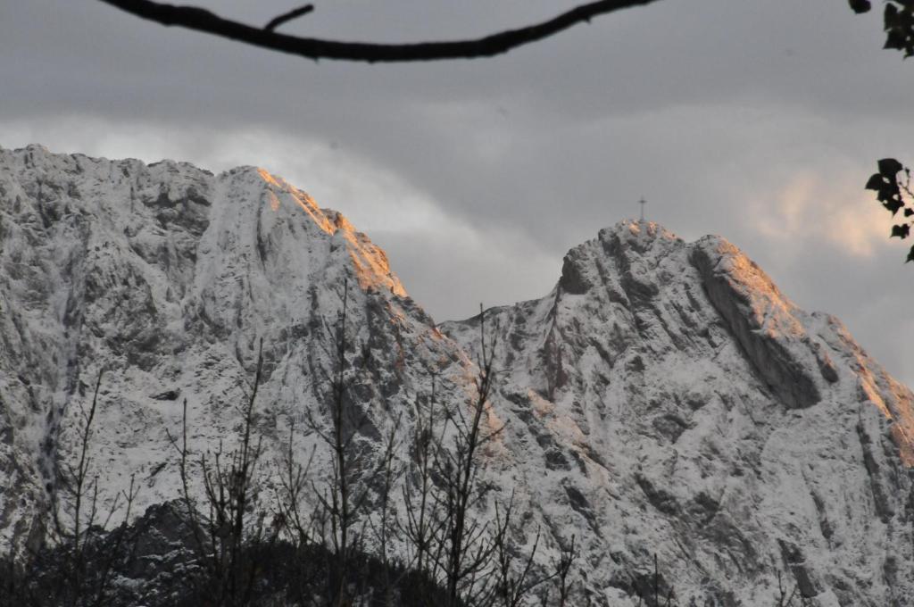 Willa Zlocien Zakopane Habitación foto
