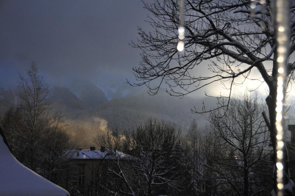 Willa Zlocien Zakopane Habitación foto