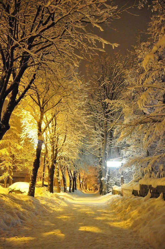 Willa Zlocien Zakopane Exterior foto
