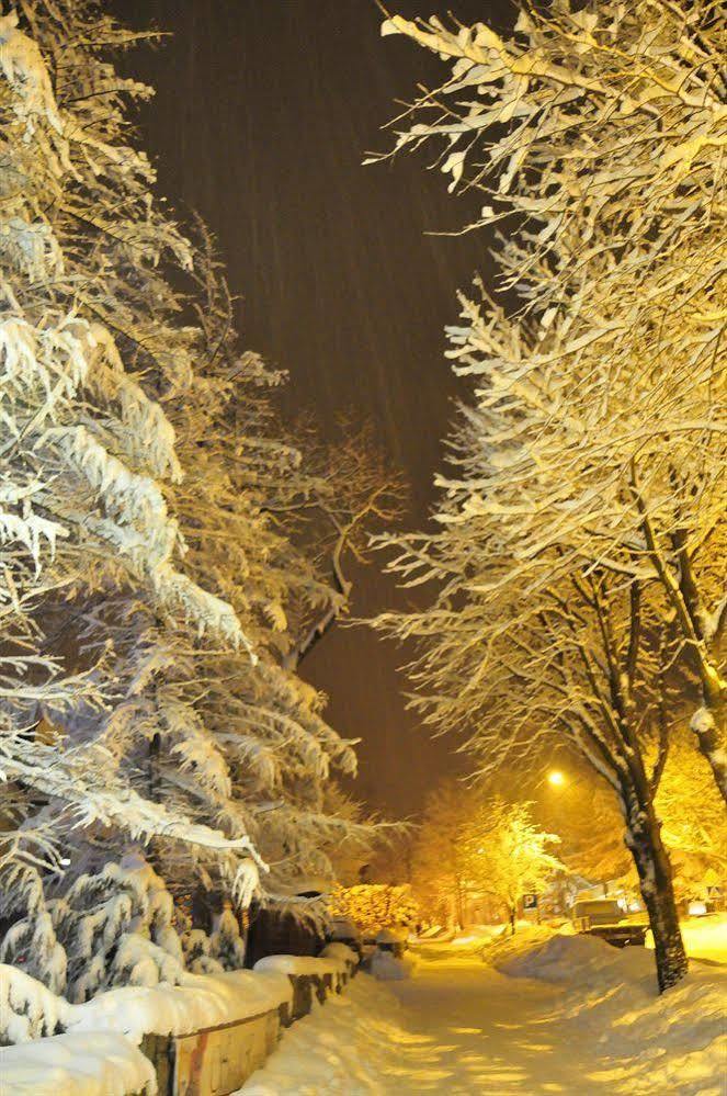 Willa Zlocien Zakopane Exterior foto